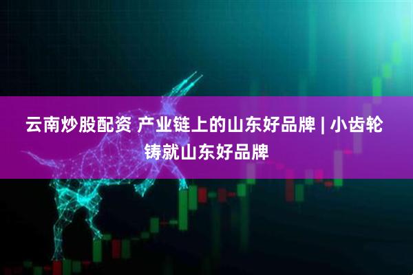 云南炒股配资 产业链上的山东好品牌 | 小齿轮 铸就山东好品牌