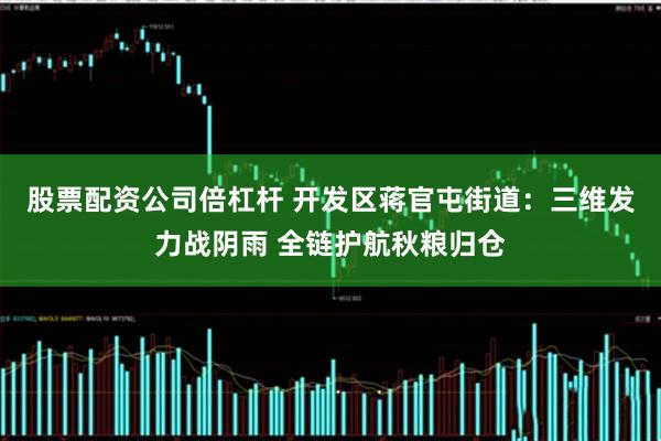 股票配资公司倍杠杆 开发区蒋官屯街道：三维发力战阴雨 全链护航秋粮归仓
